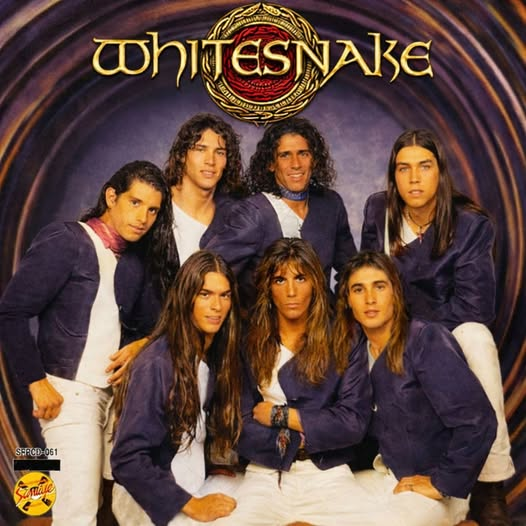 MANDANGA CON V DE VENGANZA tweet media