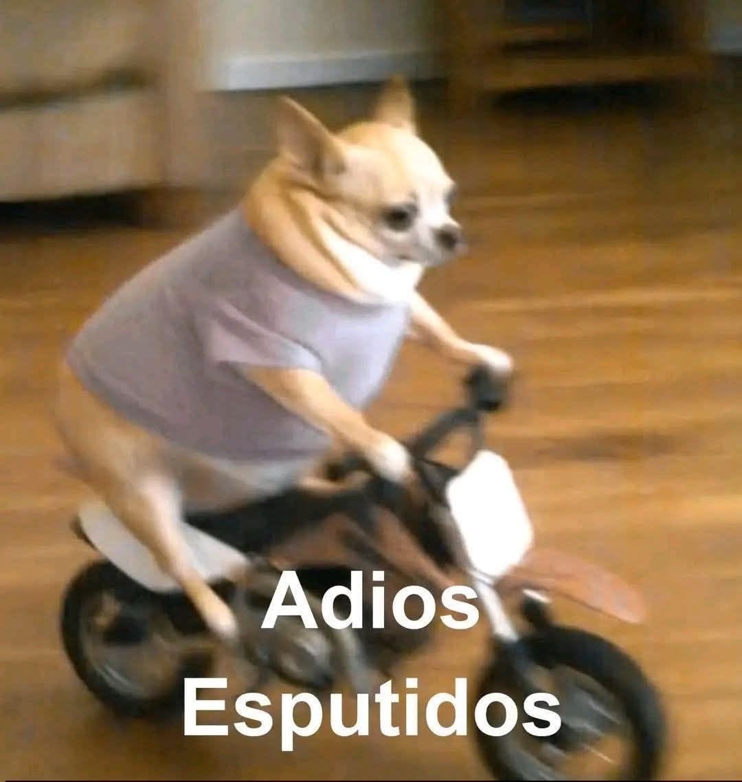 Soy la gemela buena tweet media