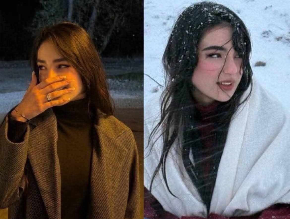 Alexandr Nikolaenko tweet media