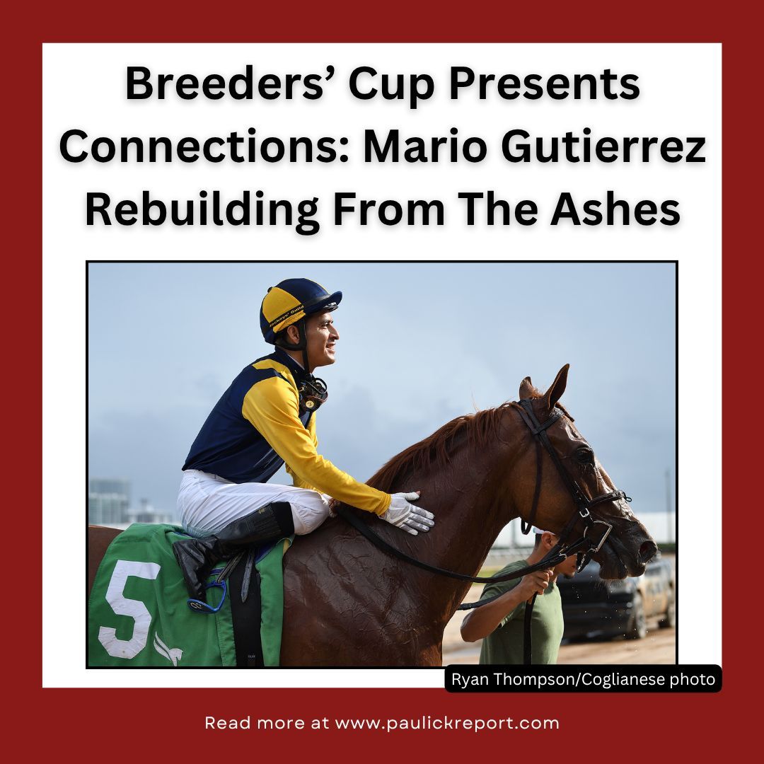 Paulick Report tweet media