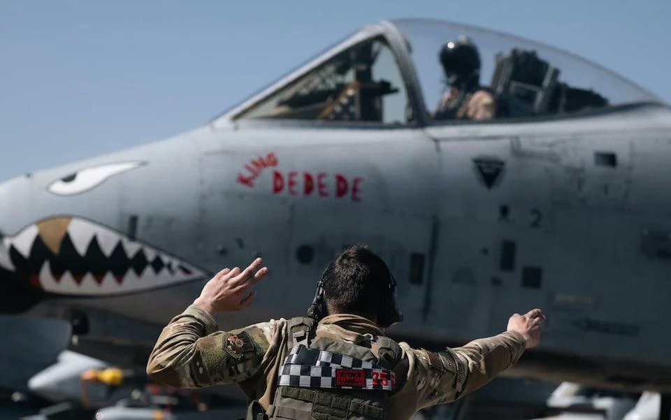 吉野@連邦(renpou.com) tweet media