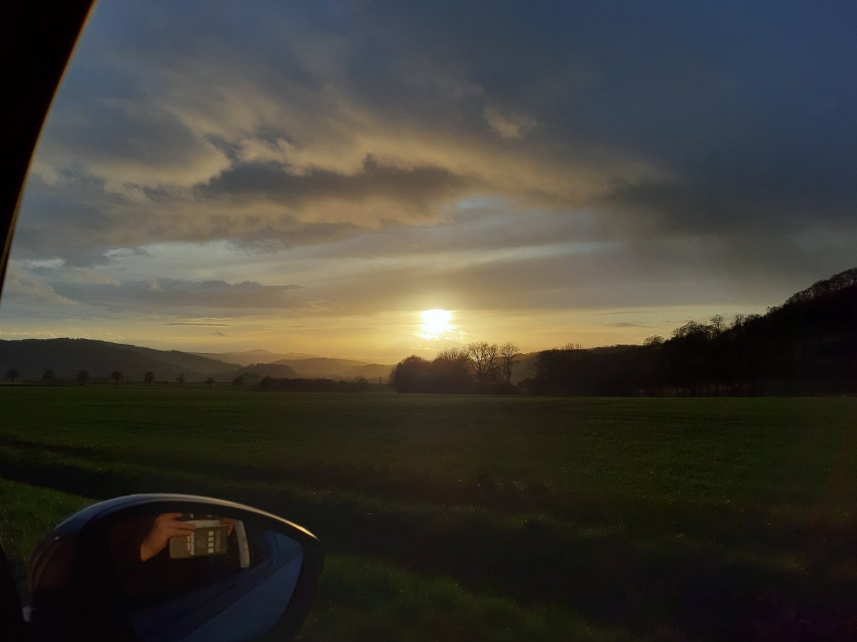 Stefanie 🏳️‍🌈🇬🇧🇪🇺🇬🇱🇺🇦🌻🍉 tweet media