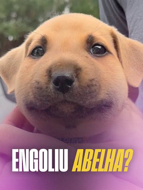 pintode3abas tweet media