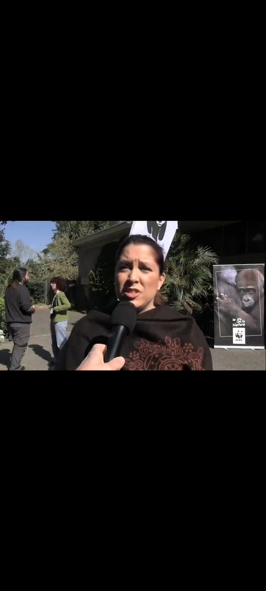 SOFIYA ZAKIROVA tweet media