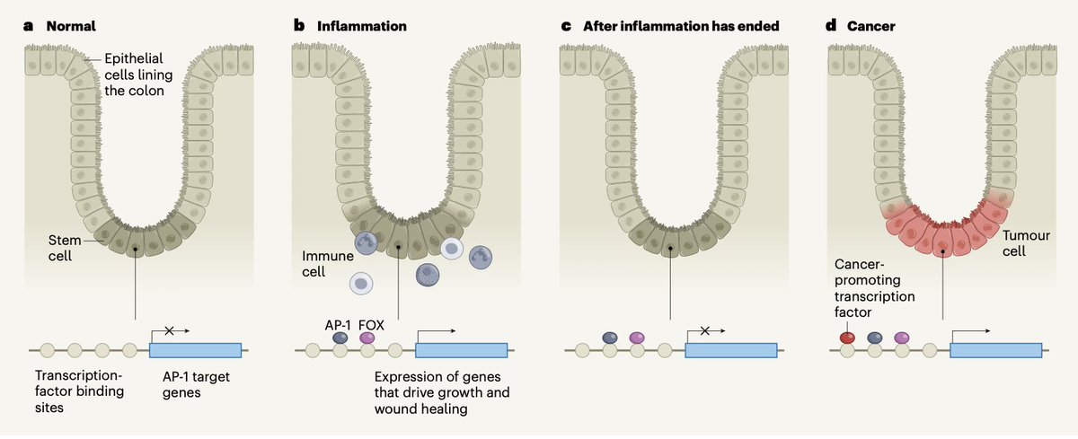 Eric Topol tweet media