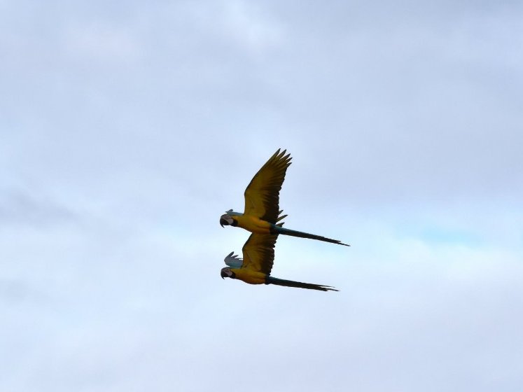 Gilberto Luis 😁 tweet media