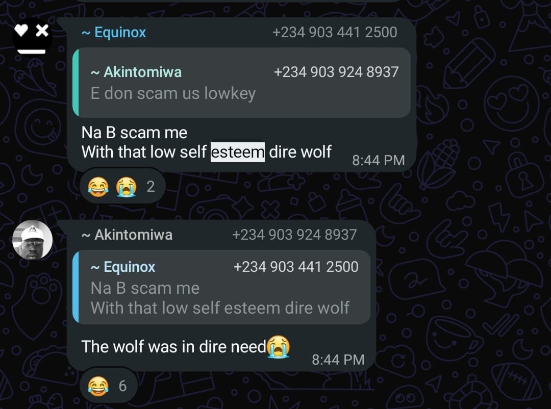 Bluebox. 🟦 tweet media