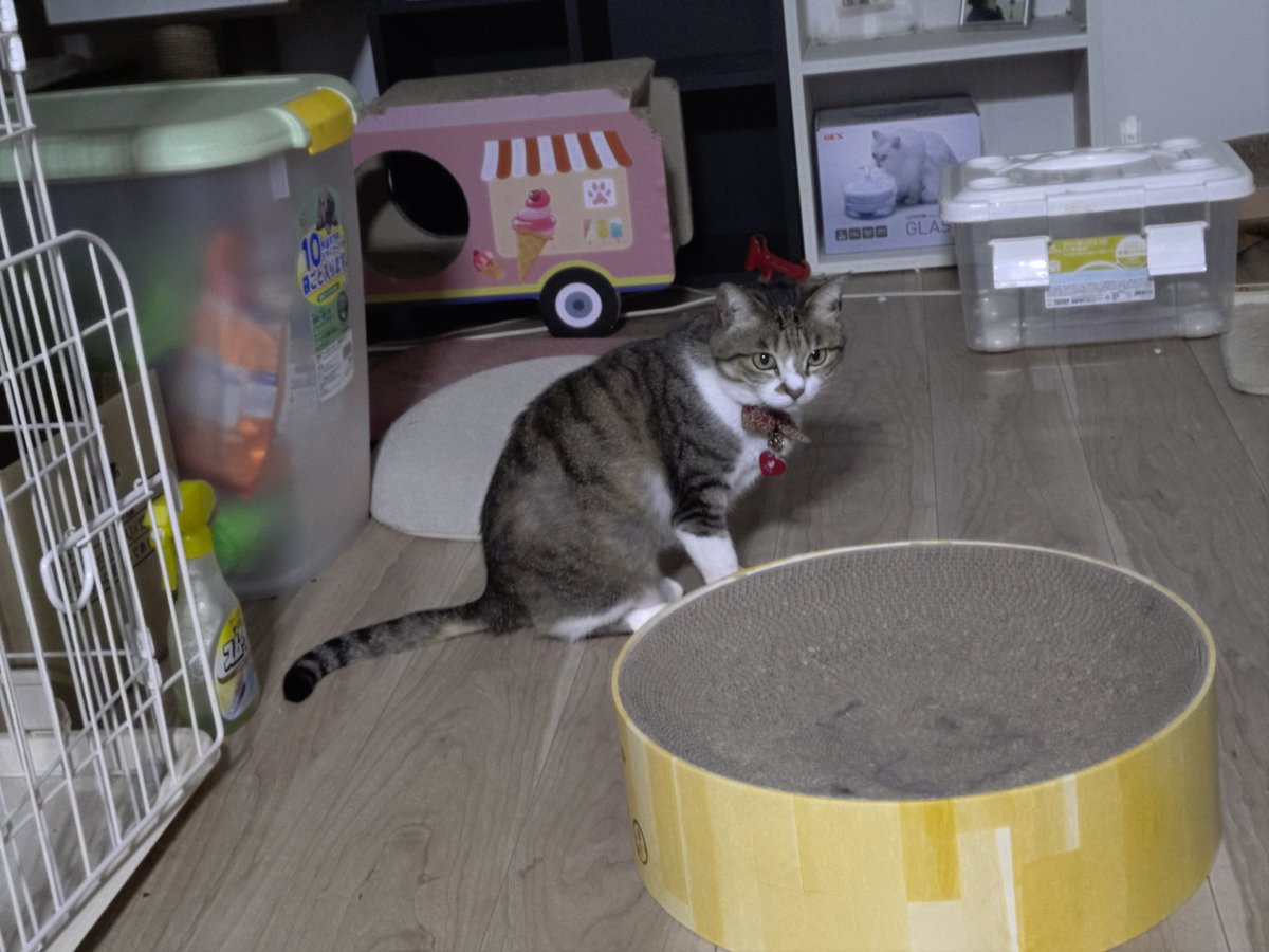 渡邉 拡庸 tweet media