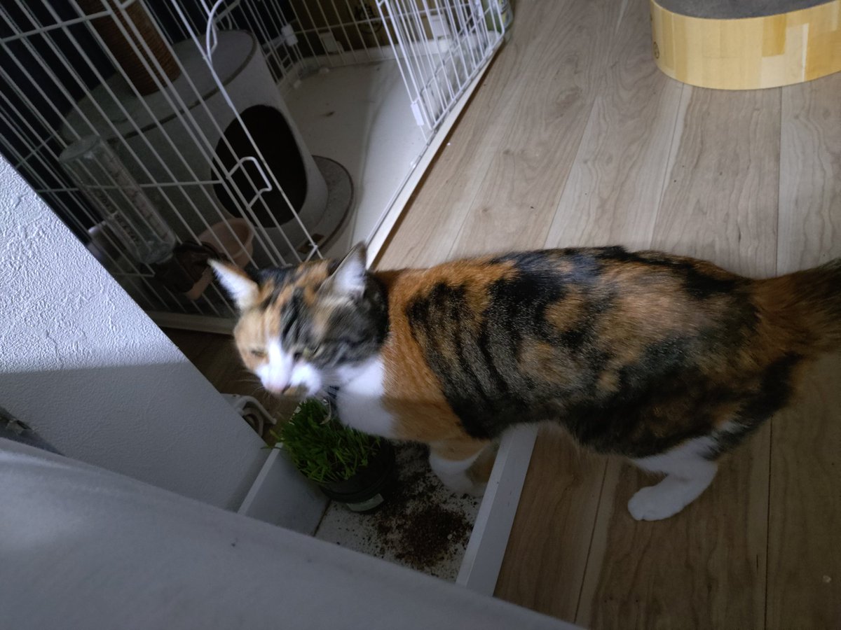 渡邉 拡庸 tweet media