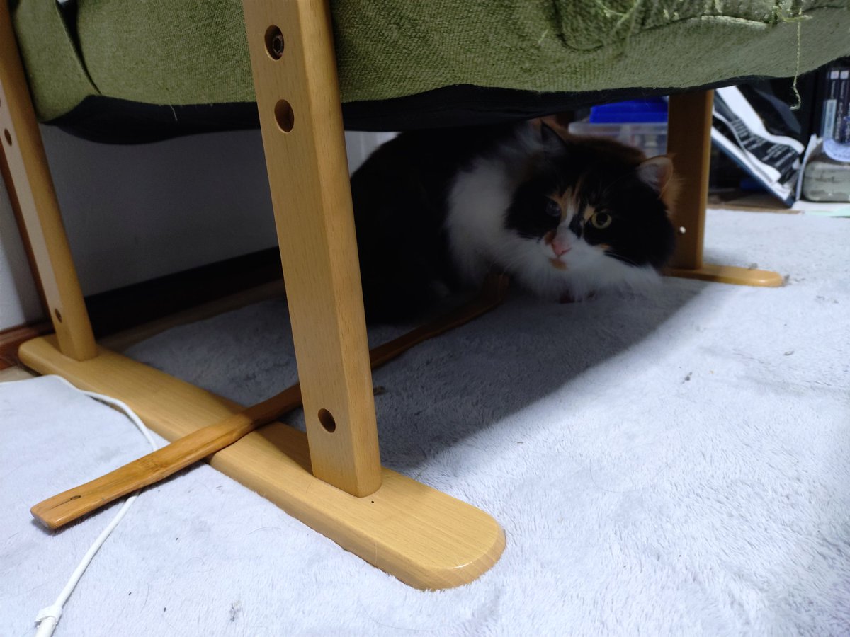 渡邉 拡庸 tweet media