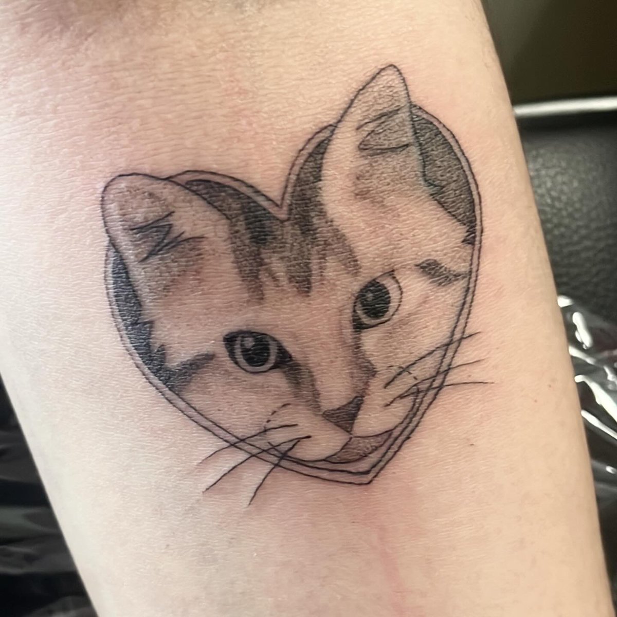 nat 🍓 tweet media