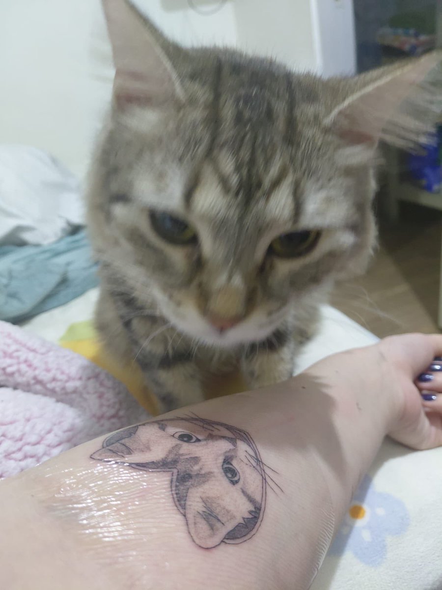 nat 🍓 tweet media