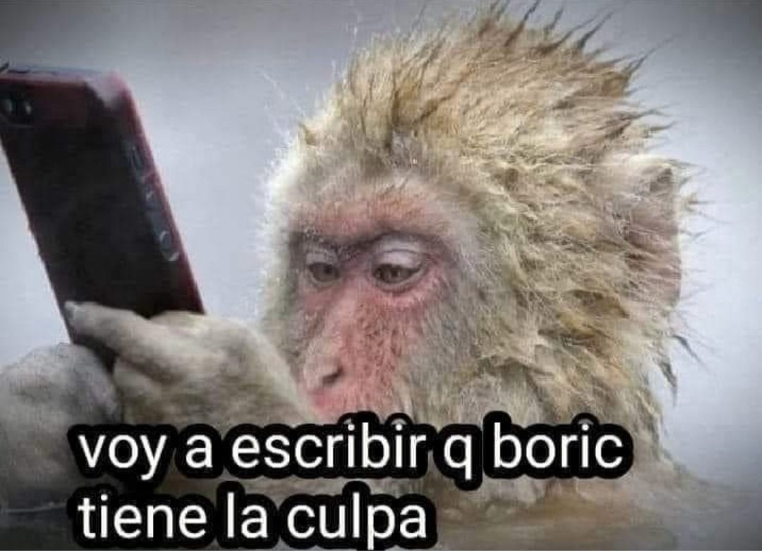 Santiago Quinteros tweet media