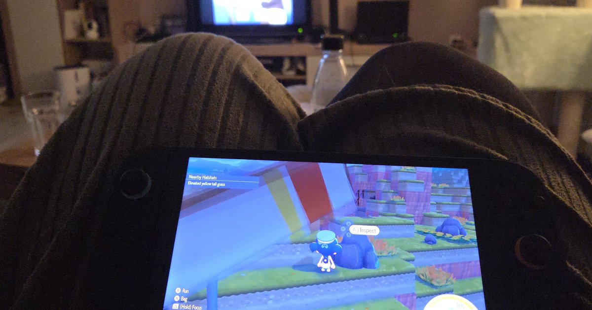 Yoomee🌊 🫧Sea Slug Maid ASMRtist tweet media