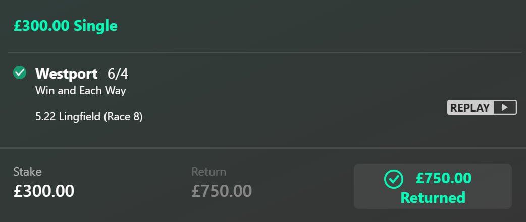 Lizard Bets tweet media