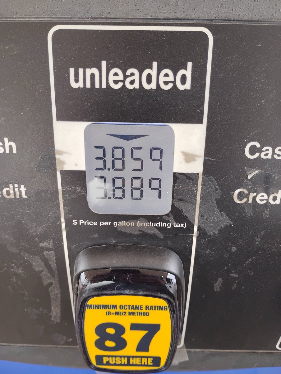 The wild one! tweet media