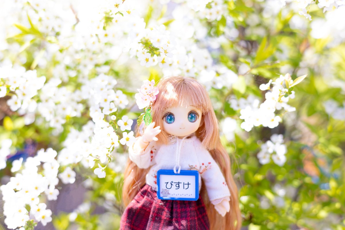 ミサンガ tweet media