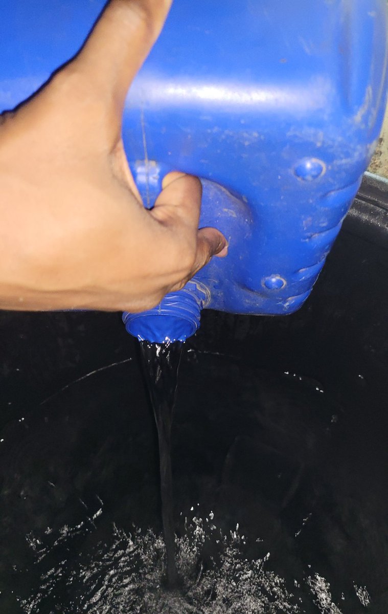 Daniel Regha tweet media