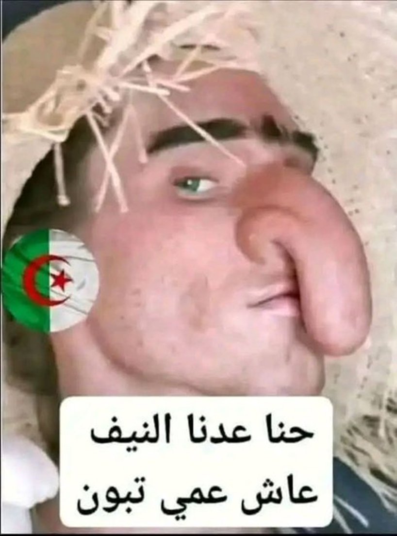 Free spirit tweet media