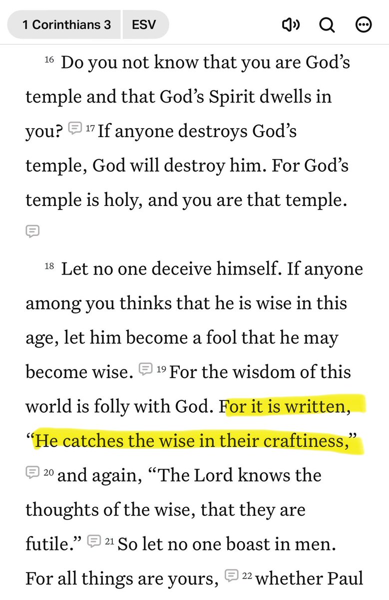 BearSkillz247 tweet media