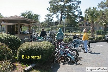 Perfect_Stayz's tweet photo. Planning a trip to Hilton Head Island or a quiet coastal escape? Perfect Stayz website offers handpicked vacation homes designed for comfort and convenience. Remove the hassle &amp; book directly with property owners. 
Explore
https://t.co/QhQDm3O6P3

#PerfectStayz  #hiltonheadisland https://t.co/TWmBt51Rxq