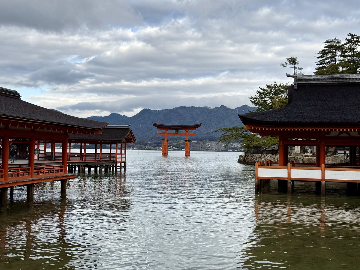 vic ⚡️ tweet media