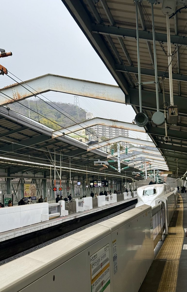 vic ⚡️ tweet media