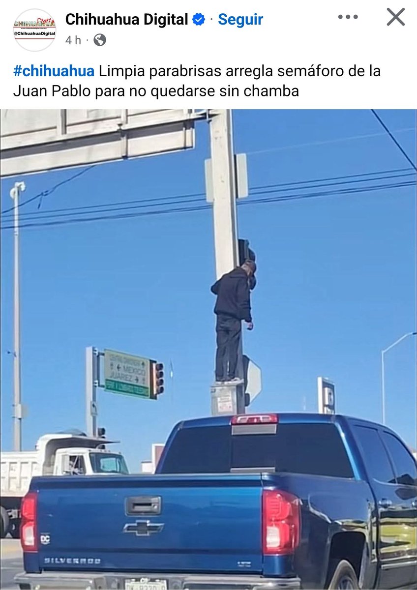 Out Of Context Chihuahua tweet media