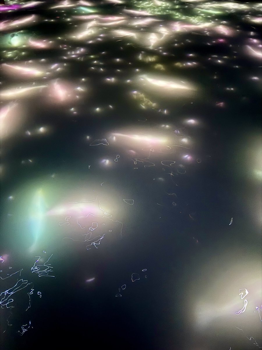 vic ⚡️ tweet media