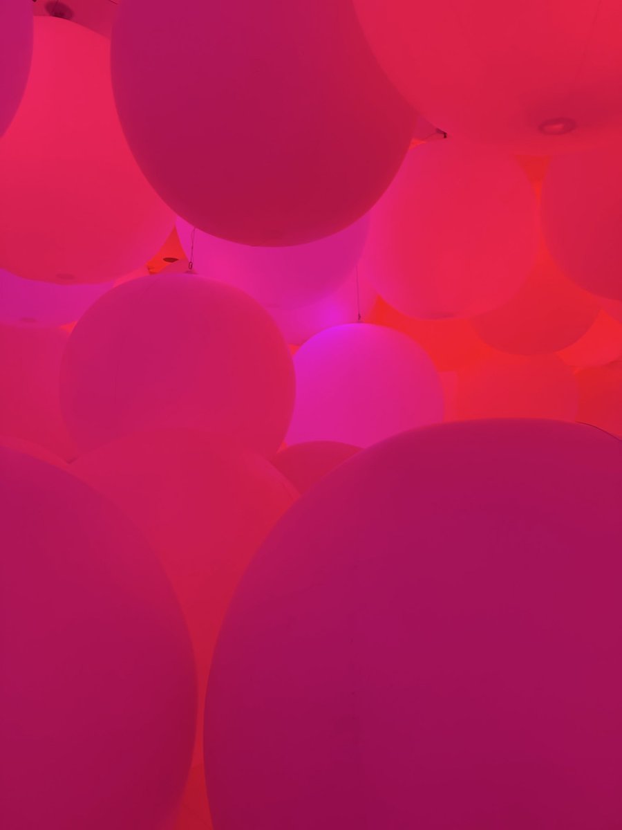 vic ⚡️ tweet media