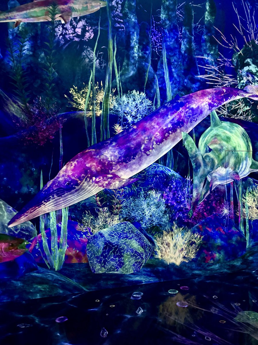 vic ⚡️ tweet media