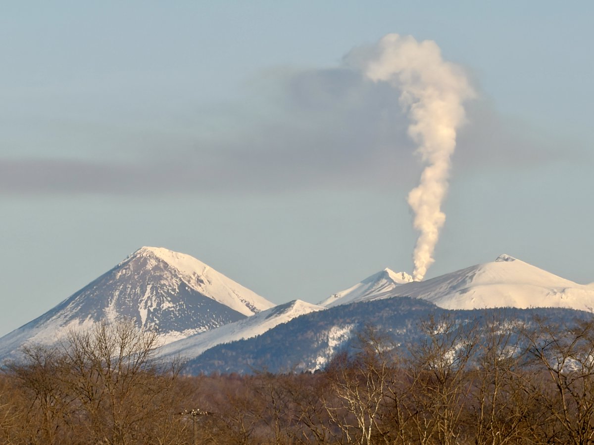 herokey turkay tweet media