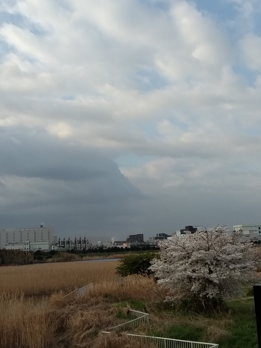 masaのおけら街道 tweet media