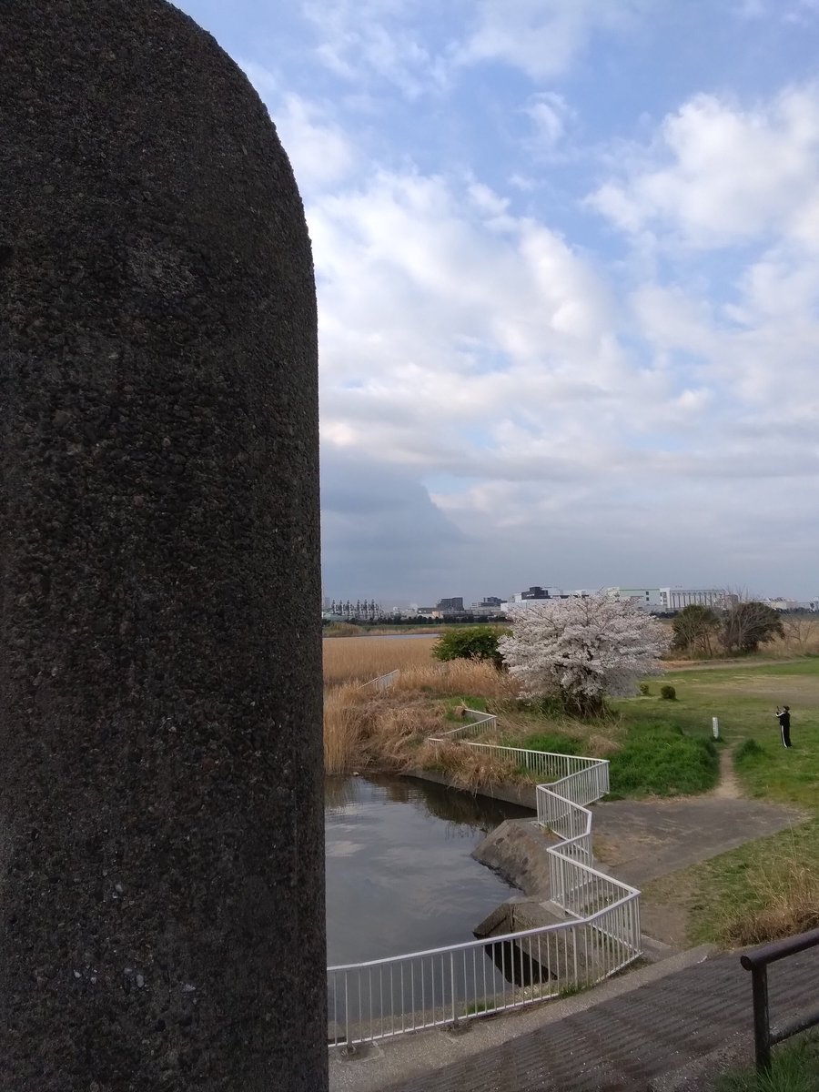 masaのおけら街道 tweet media