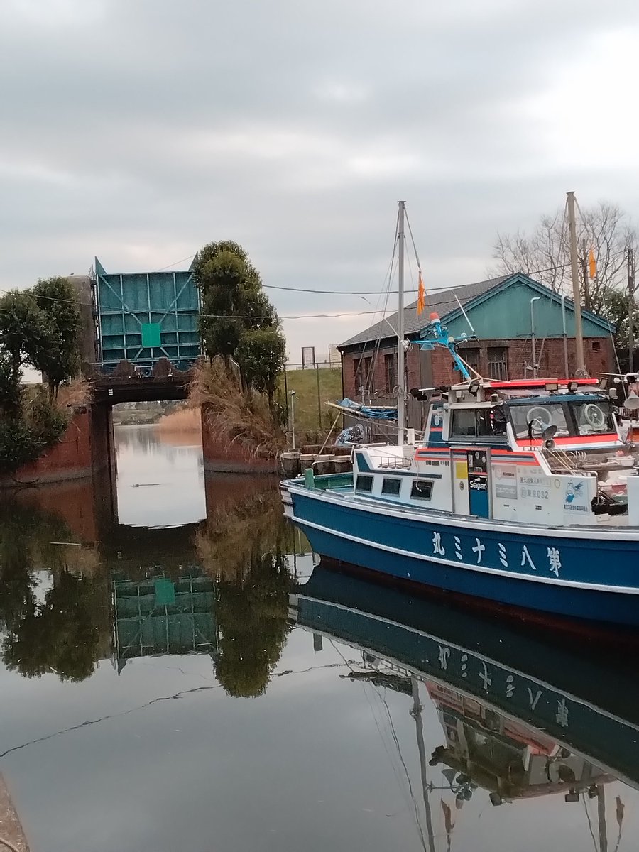 masaのおけら街道 tweet media