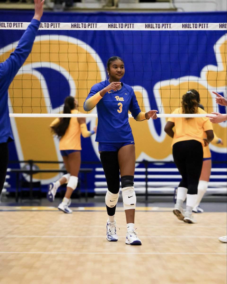 Pitt Volleyball tweet media