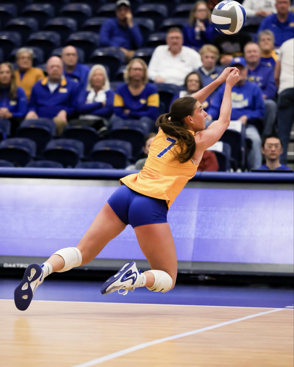 Pitt Volleyball tweet media