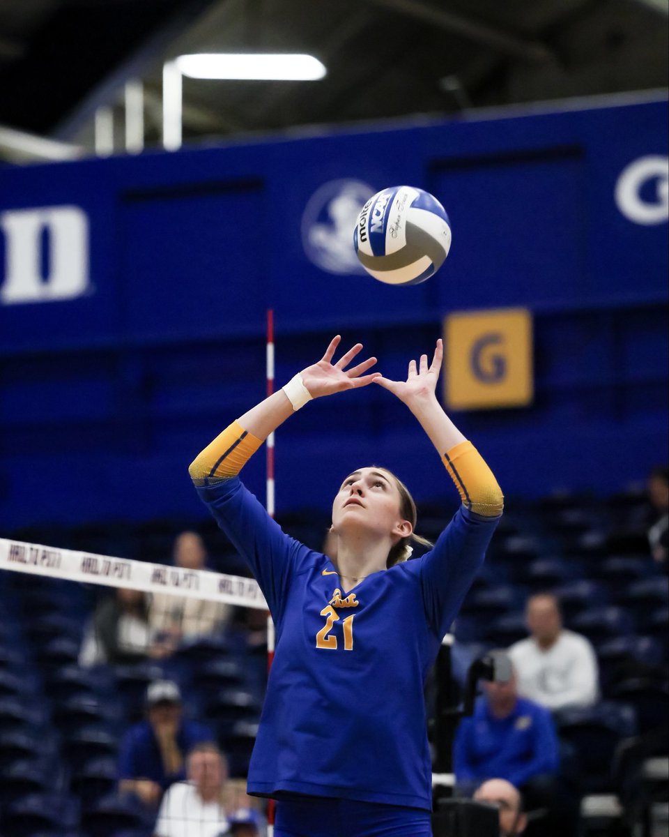 Pitt Volleyball tweet media