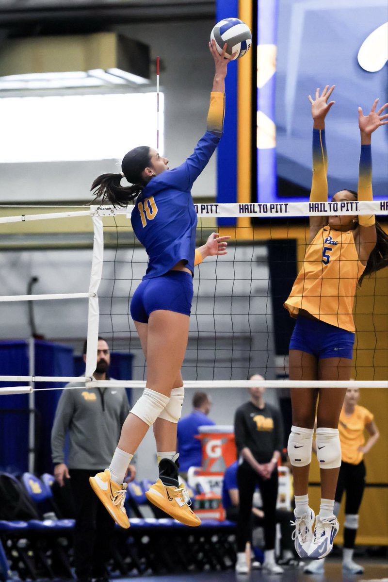 Pitt Volleyball tweet media
