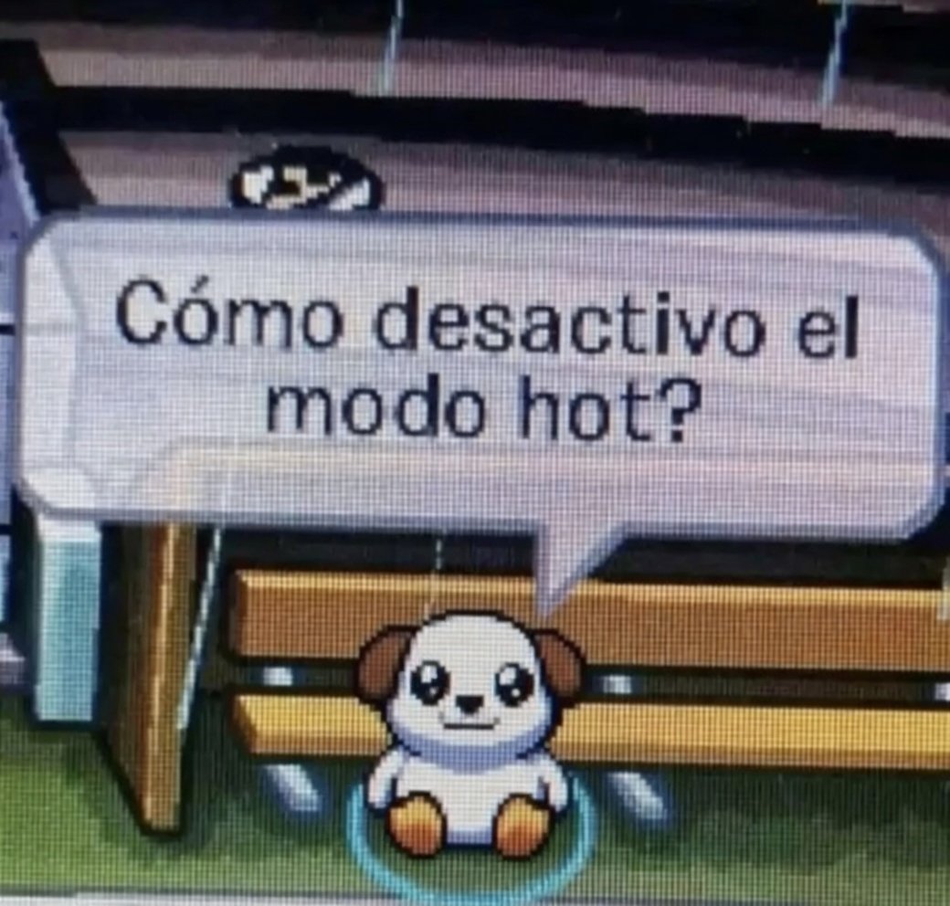 Cap Briagowsky tweet media