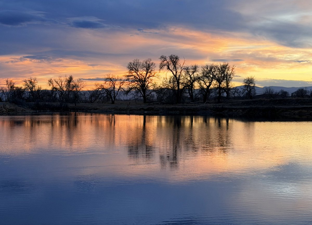 D Miller tweet media