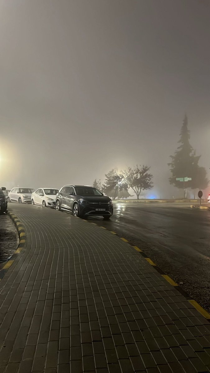 مشاري tweet media