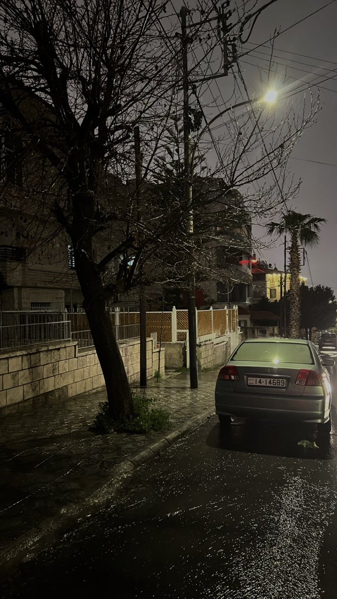 مشاري tweet media