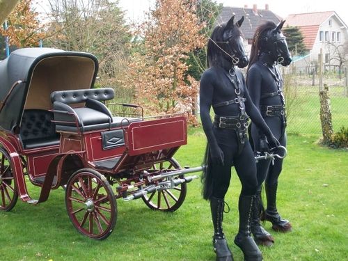 Morria 🌘 tweet media