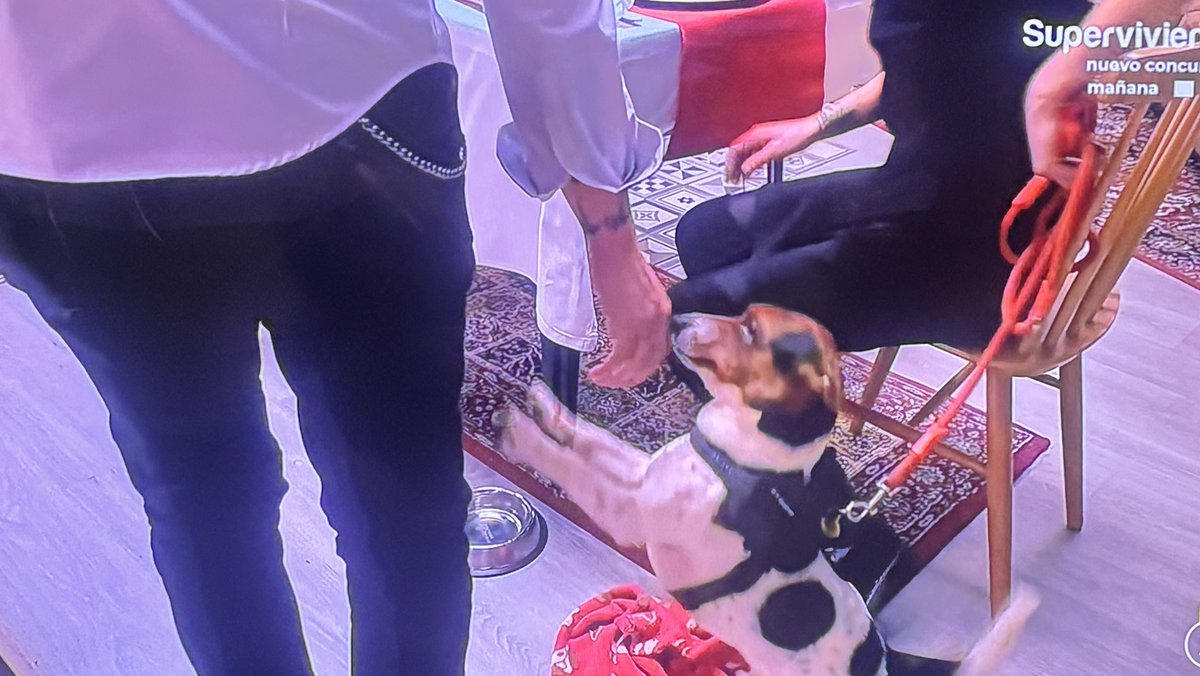 Juan_RedSquare's tweet photo. A Lunix no le ponen cena? ni agua? 😢 #FirstDates25M https://t.co/lezpPhicYp