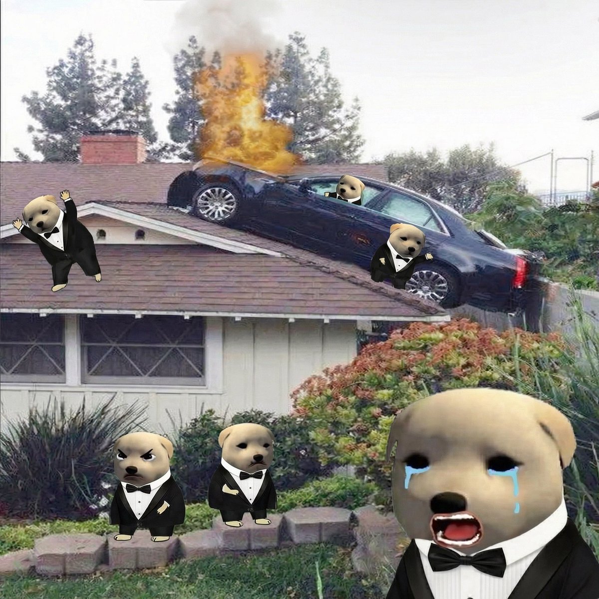 had to take profits, sir tweet media