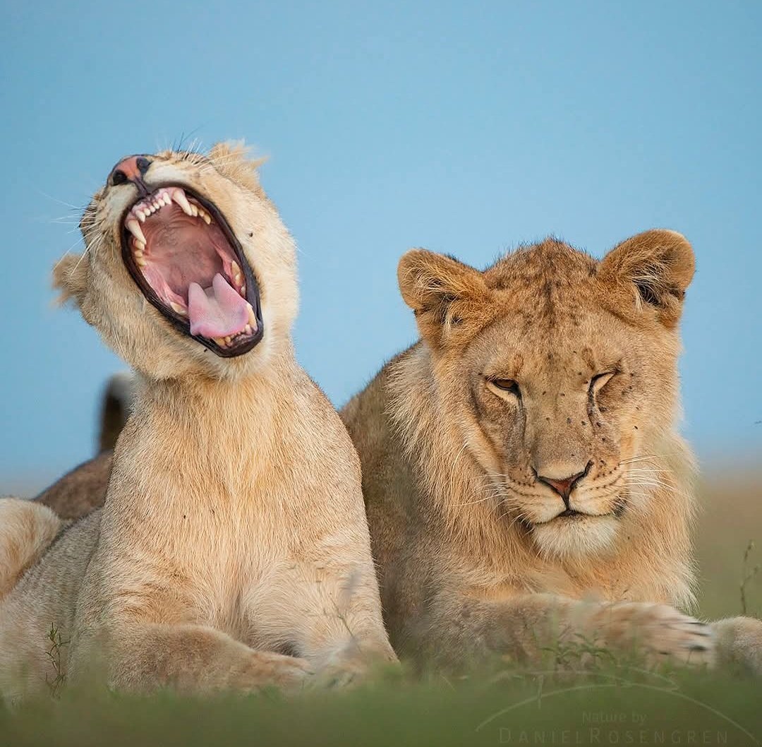 Anne 🇫🇷 tweet media