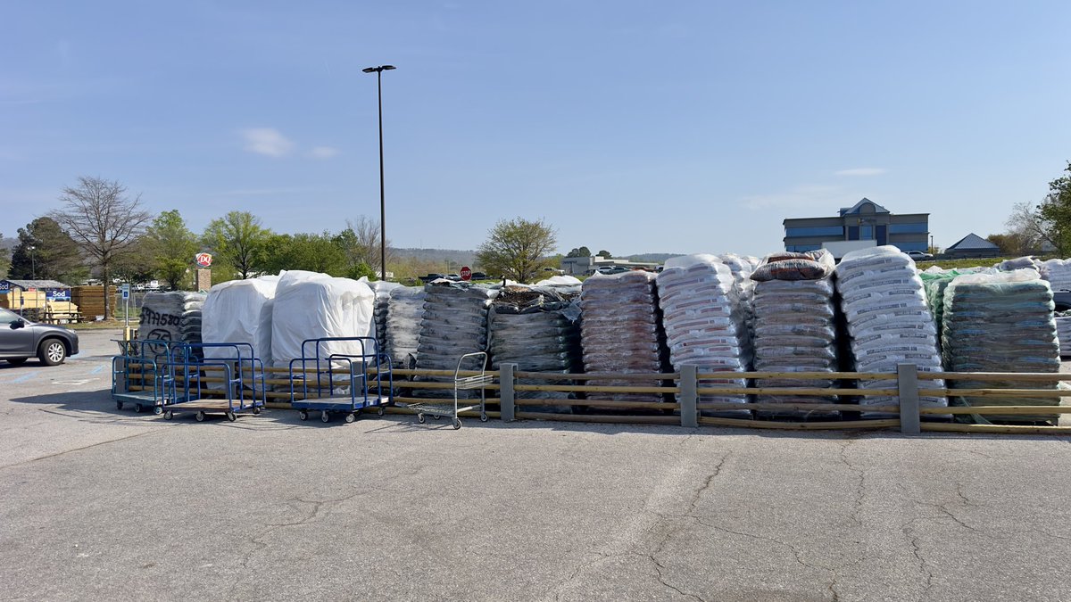 GeologistTony's tweet photo. This nesting Canadian goose at Lowe’s on highway 280 in Inverness has decided that these pallets of mulch are not for sale. She gave me the eye as I walked by.   haha. https://t.co/MTqeYV7NWh