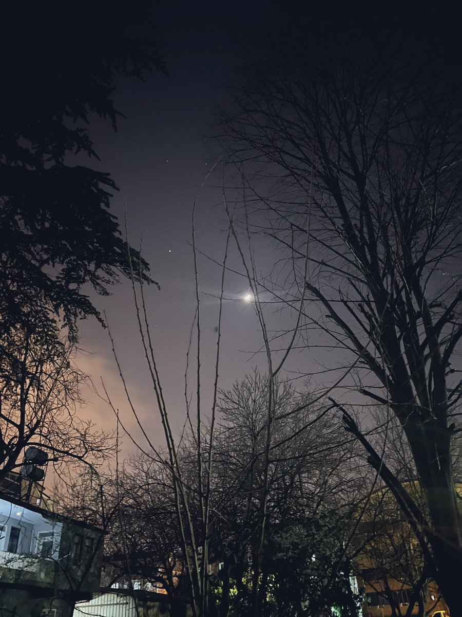 Mehh_tapp tweet media