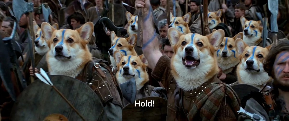 Sgt. Wingflapper tweet media